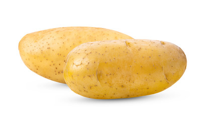  potato on white background