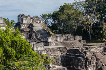 Fototapeta na wymiar Mayan temple pyramids archeological excavation in Tikal national park green rainforest 