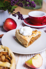 German apple pie with ice cream