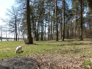 KODAK Digital Still Camera © Dawid