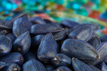 pickled sunflower seeds for sowing in a glass container