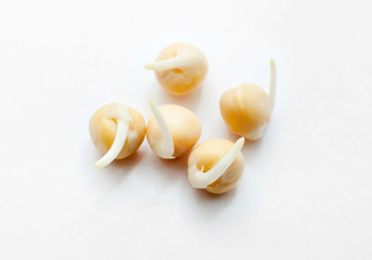 Sprouted peas close-up isolated on a white background