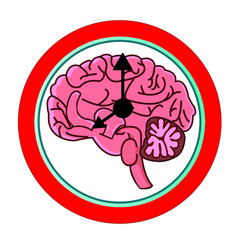 The circadian rhythms are controlled by circadian clocks or biological clock these clocks tell our brain when to sleep, tell our gut when to digest and control our activity in several day.