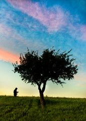 Naklejka na ściany i meble man walking through a field of wheat. nature, color sky, sunset.