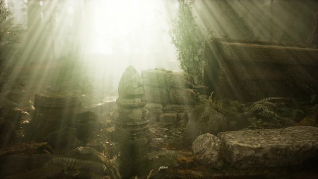 Hoary ruins of ancient city in pine forest