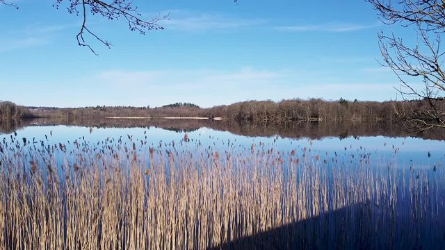 Slow aerial drone shot, flying over shoreside reeds towards a distant shore. Sky, trees, reeds and a distant shore are reflected in the surface of a still lake at N&auml;&auml;s Fabriker, Tollered, Sweden.