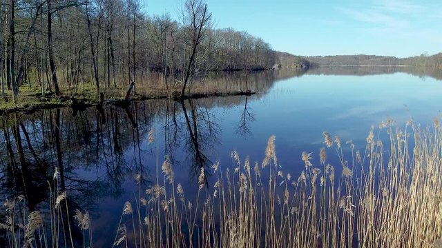 Slow aerial drone shot, flying from a grassy shore and over reeds towards a tree-clad and marshy shore. Trees and grass are reflected in the surface of a still lake at N&auml;&auml;s Fabriker, Tollered, Sweden.