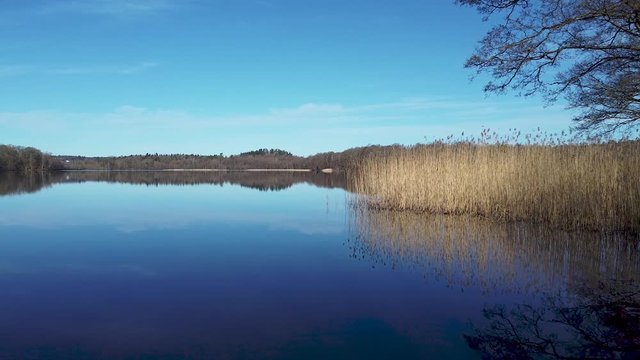 Slow aerial drone shot, moving towards a reeds on the shoreside and towards a distant shore. Distant shore are reflected in the mirror-like surface of a still lake at N&auml;&auml;s Fabriker, Tollered, Sweden.