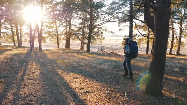 A man, a tourist with a backpack and a cap is walking through a pine forest at sunset. Active lifestyle.