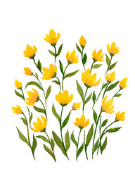small yellow wildflowers, spring watercolor illustration with simple yellow flowers, cute yellow floral decoration