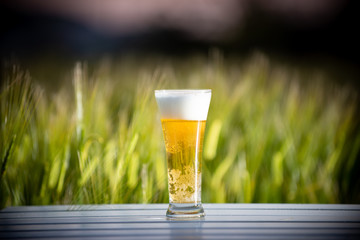 麦畑と生ビール