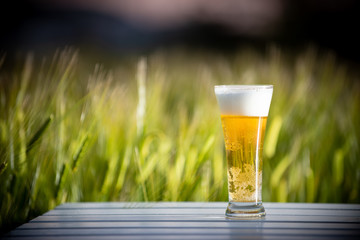 麦畑と生ビール