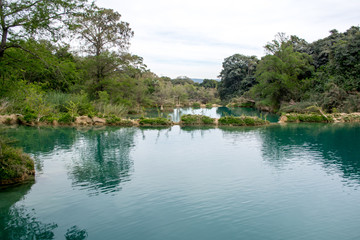 Fototapeta na wymiar Conjunto de lagunas de agua color turquesa con formaciones de piedra caliza cubiertas de plantas en medio de la selva en México en el Salto, Huasteca Potosina, San Luis Potosí