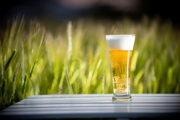 麦畑と生ビール
