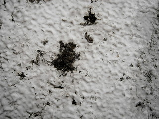 texture, nature, macro, stone, black, wall, , surface, abstract