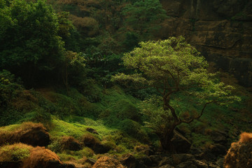 Cileteuh Geopark Curug Cimarinjung