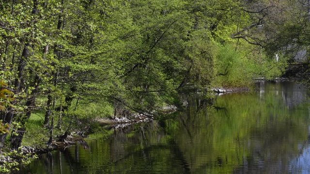 Spring Impressions from Western Ditch in Citadel Park in Berlin Spandau of April 22, 2020, Germany