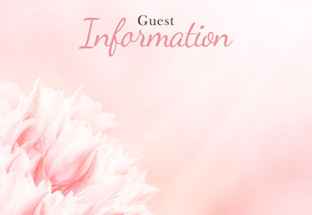Wedding information card, pink tulips, standart size. Greeting or invite Details card, elegant clear design template, light blur background.