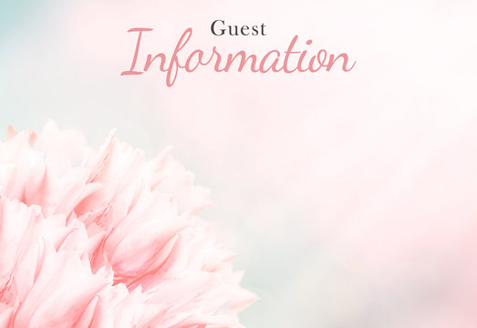 Wedding information card, pink tulips, standart size. Greeting or invite Details card, elegant clear design template, light blur background. © taylon