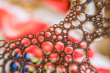 Amazing Macro closeup of a colorful soap bubble