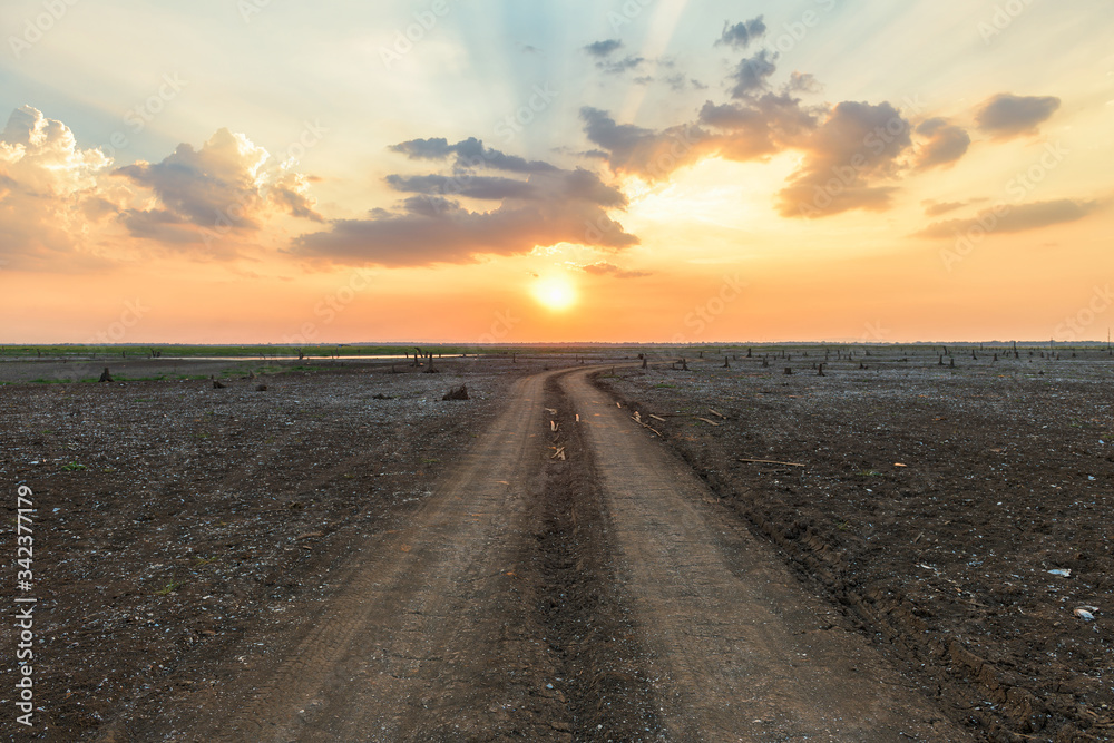 Wall mural Dirt road in the parched lake with sunset sky