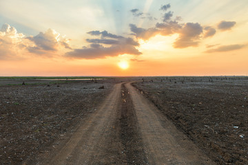Naklejka premium Dirt road in the parched lake with sunset sky