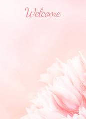 Fototapeta na wymiar Wedding Program card, pink tulips, standart size. Greeting or invite Details card, elegant clear design template, light blur background.