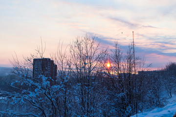 Winter landscape in the city sunlights throuth the tree