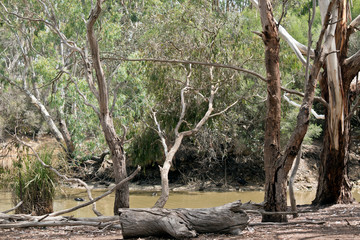 this billabong is on kangaroo island