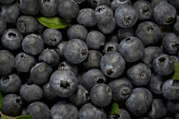 Fresh blueberries background with copy space for your text.  Vegan and vegetarian concept. Macro texture of blueberry berries. Summer healthy food.