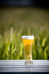 麦畑と生ビール