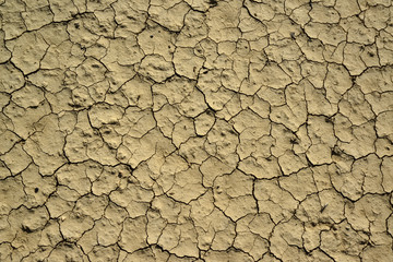 Cracked red clay and white salt on the surface in a dried riverbed in the desert of New Mexico, USA