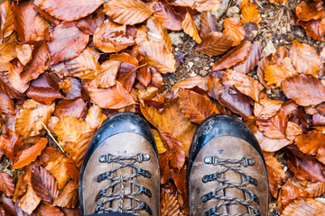 Mountain boots and autumn foliage. travel and wanderlust concept image. 