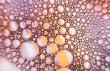 Close up of the Colorful bubbles on a purple, yellow, red background.