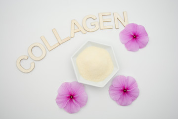 Collagen protein powder, hydrolyzed.
