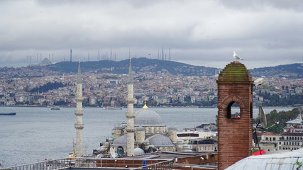 krajobraz miasta Stambuł z meczetami i wodą