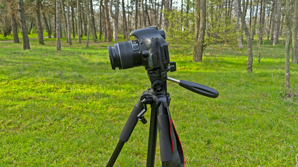 The camera on a tripod without a photographer.