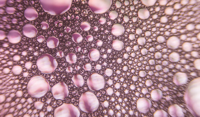 Lots of Purple bubbles forming beautiful intricate pattern with space for text or logo