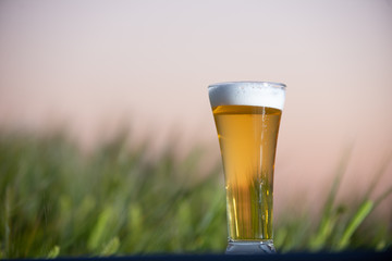 麦畑と生ビール
