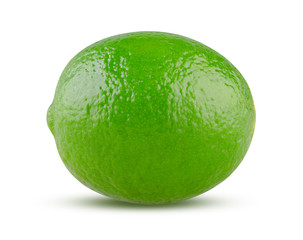 Fresh Lime on White Background. Perfect Shiny Lime Close Up Isolated. Whole Green Citrus Fruit