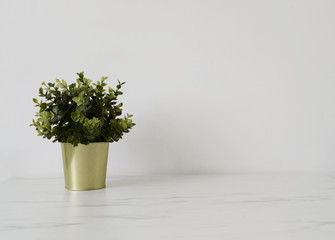 Green Flower In Golden Flower Pot