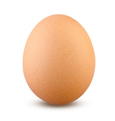 Egg Isolated. Boiled or Fresh Chicken Egg Vertical on White Background Close Up