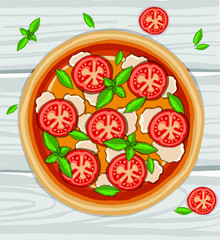 Vector hand drawing pizza margherita