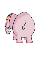 elephant back