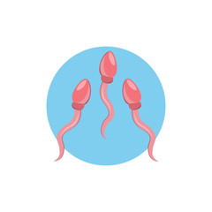 Sperm, Spermatozoa colorful flat icon with shadow. medical icon