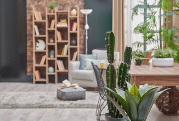 Modern brown and black wall concept, wallpaper, wooden bookcase and table style, grey armchair green vase of plant.