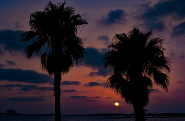 Fototapeta na wymiar Beautiful sunset behind silhouette of palm trees