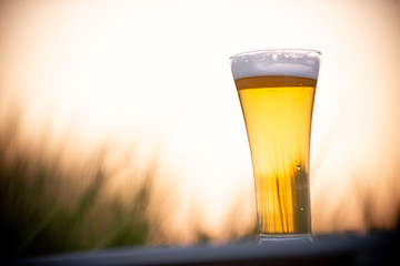 麦畑と生ビール