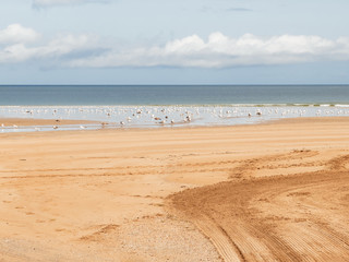 seaside in the north of spain