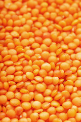 Orange lentils in full-screen. As a texture background.